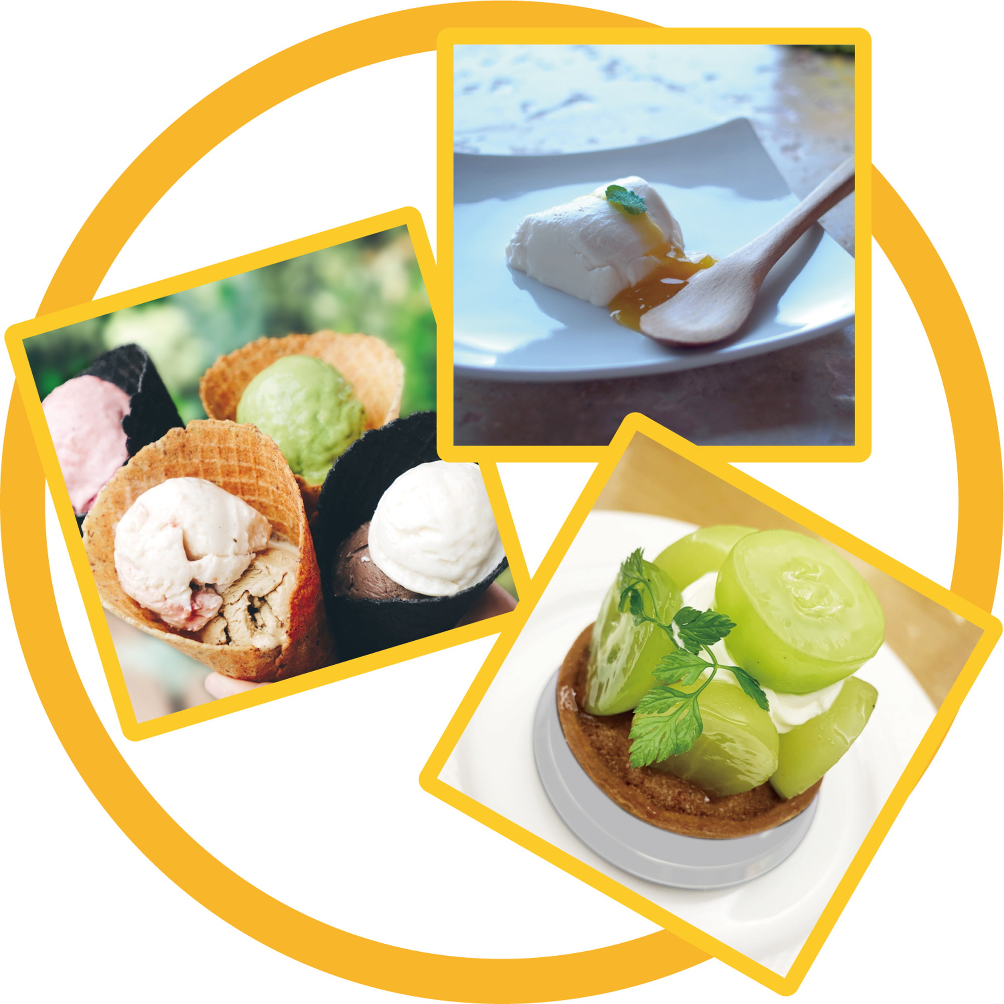 柚子エッセンス 100g サプリメント 食品添加物 食品 エコ系洗剤通信販売のマルゴ